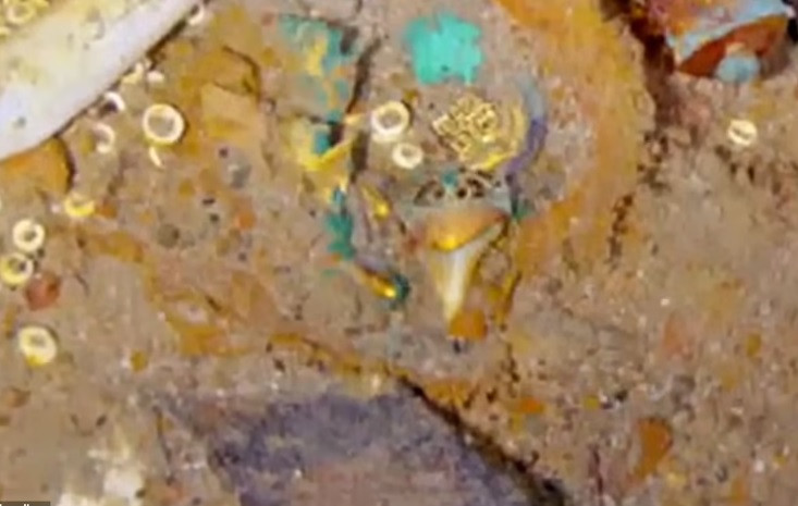 Theo các chuyên gia, chiếc vòng cổ bằng vàng chưa được trục vớt từ xác tàu Titanic huyền thoại gây chú ý khi món đồ trang sức này có răng của một con megalodon - loài cá mập thời tiền sử sống cách đây hơn 23 triệu năm.