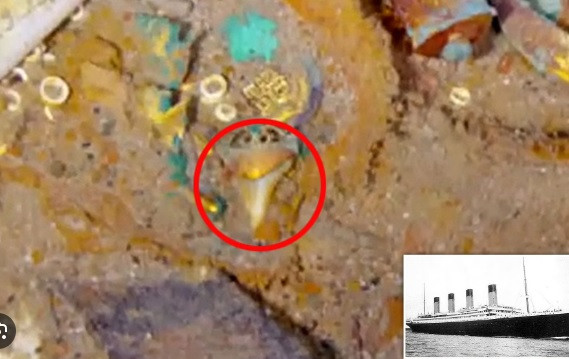 Đây là dự án quét dưới nước lớn nhất lịch sử tính đến thời điểm hiện nay. Khi xem những hình ảnh có được từ quá trình quét tàu Titanic, các chuyên gia phát hiện một chiếc vòng cổ vàng đã "ngủ vùi" dưới đáy đại dương sau vụ chìm tàu kinh hoàng năm 1912.