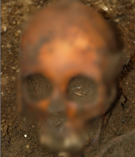 "Cô gái còn rất trẻ khi chuyển đến Anh. Cô ấy có lẽ không khỏe lắm và phải đi một chặng đường dài đến nơi hoàn toàn xa lạ, kể cả thức ăn cũng khác. Điều này rất đáng sợ", tiến sĩ Sam Leggett, nhà khảo cổ sinh học tại Đại học Edinburgh, cho biết.