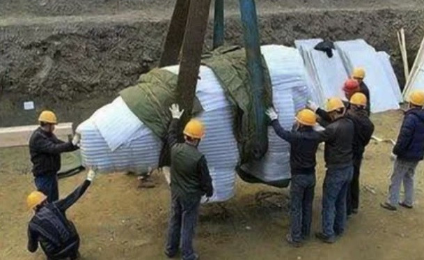 Tương truyền, khi thần thú lộ diện vào năm 2013, nhiều người dân kiến nghị đừng đào lên. Tuy nhiên, giới chức trách vẫn quyết định đào thần thú bằng đá lên rồi đưa về bảo tàng di chỉ Kim Sa trong thành phố. Theo các chuyên gia, thần thú trấn thủy được điêu khắc với nhiều hình vòng đám mây.