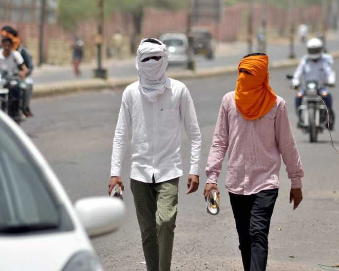 Sự nóng lên trong thời gian dài do đốt nhiên liệu hóa thạch cộng thêm xung nhiệt từ hiện tượng El Nino thường khiến nhiệt độ tăng đột biến trên toàn cầu. Vào tuần trước, Cơ quan Khí quyển và Đại dương Quốc gia Mỹ (NOAA) cho biết, hiện tượng El Nino đang xuất hiện và sẽ “dần dần mạnh lên” vào đầu năm 2023.