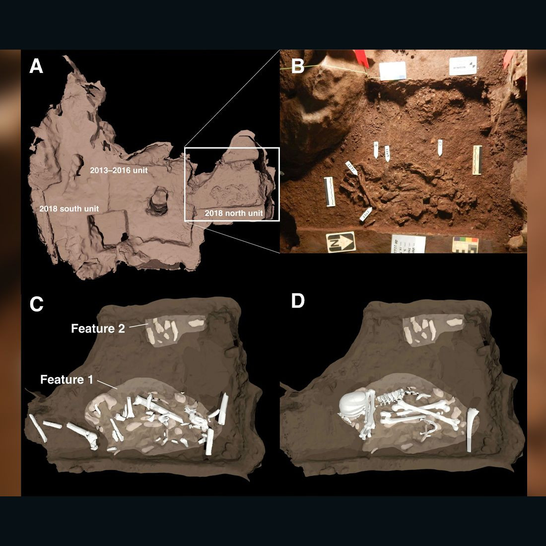 Theo Tiến sĩ nhân chủng học John Hawks nhận định, việc tìm thấy các hài cốt của người Naledi bao gồm cả người lớn và trẻ em trong hang động cho thấy họ đã sống như một quần thể. Cuộc sống của vẫn còn khá nhiều bí ẩn chờ đợi giới khoa học đi tìm lời giải.