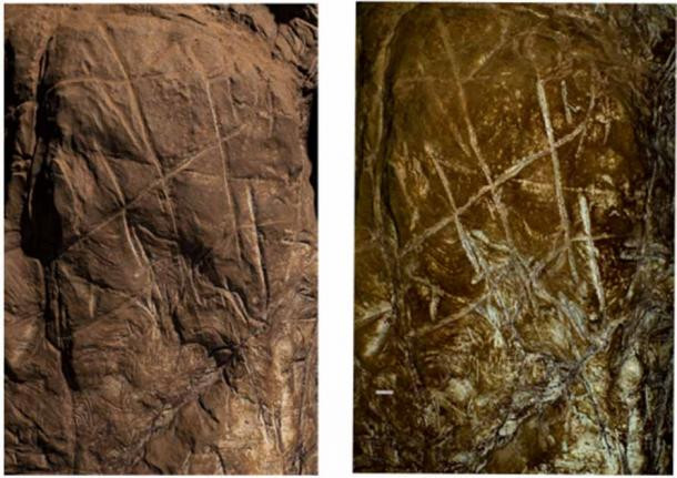 “Những phát hiện gần đây cho thấy việc chôn cất có chủ ý và sử dụng các biểu tượng là hoạt động có ý nghĩa đối với người Homo naledi. Điều này chỉ ra rằng loài người cổ đại có bộ não nhỏ đã thực hiện các hoạt động phức tạp liên quan đến cái chết", Tiến sĩ Lee Berger cho hay.