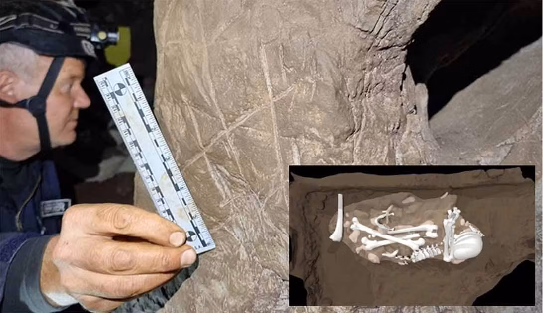 Thông qua các kiểm tra, giới nhiên cứu phát hiện bộ não của loài người Homo naledi đã tuyệt chủng có kích thước chỉ bằng 1/3 bộ não con người hiện đại.