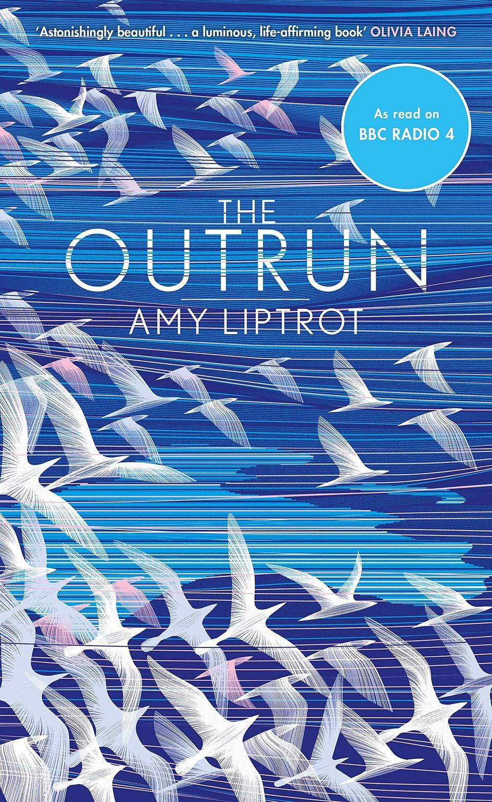 The Outrun của Amy Liptrot. Cuốn hồi ký của Liptrot là sự miêu tả nhuần nhuyễn thời thơ ấu trên những hòn đảo Orkney lộng gió, đầy muối và thời điểm hiện tại của tác giả, vào độ tuổi 30 ở London và đang trong hành trình tìm ra bản thân sau khi mắc chứng nghiện rượu. Thiên nhiên là một phần của quá trình này, từ khi tác giả đứng thẫn thờ trên đỉnh vách đá, bơi trong vùng biển lạnh giá với những người bạn đồng hành hay dành cả đêm để tìm kiếm một con chim chích chòe, loài chim đang đối mặt với nguy cơ tuyệt chủng. Ảnh: Amazon.