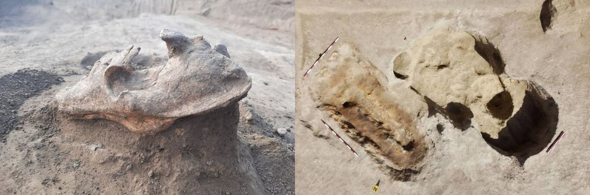 Nhóm nghiên cứu suy đoán những kẻ trộm mộ thực hiện nghi lễ "trấn yểm" có thể đến từ bộ lạc Getae sinh sống lâu đời ở các khu vực hai bên hạ lưu sông Danube.