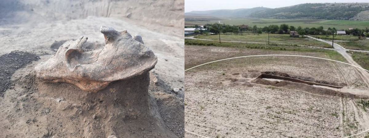 Điều khiến các chuyên gia bất ngờ là việc tìm thấy hộp sọ của một quái thú được đặt trên một đống đá trong mộ cổ. Quái thú đó chính là con sói.