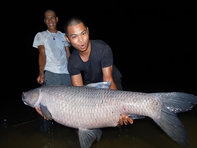 Với trọng lượng 40,5 kg, con cá trắm mà nhóm của anh Hòa câu được là con cá trắm đen lớn nhất bắt được ở đập Khe Là. Ảnh: Tiền phong.