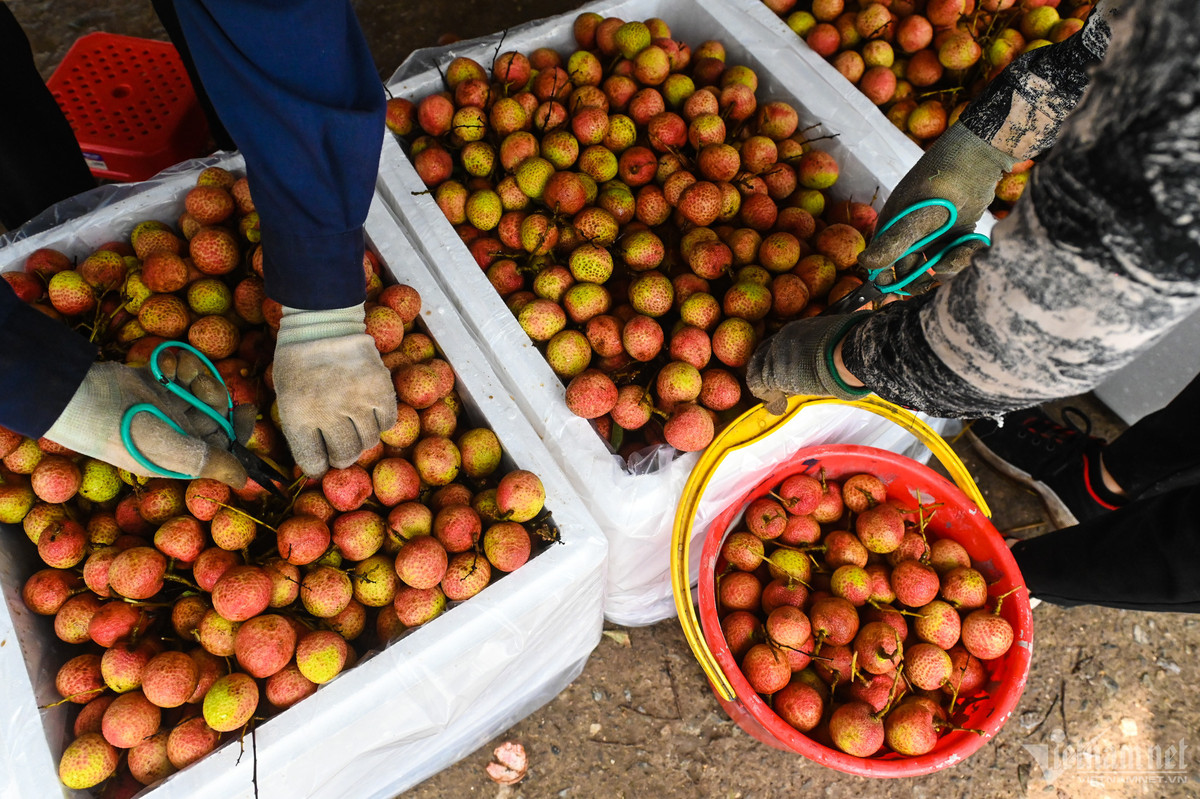 Trung Quoc chi tien gap 5 de mua rau qua-Hinh-2