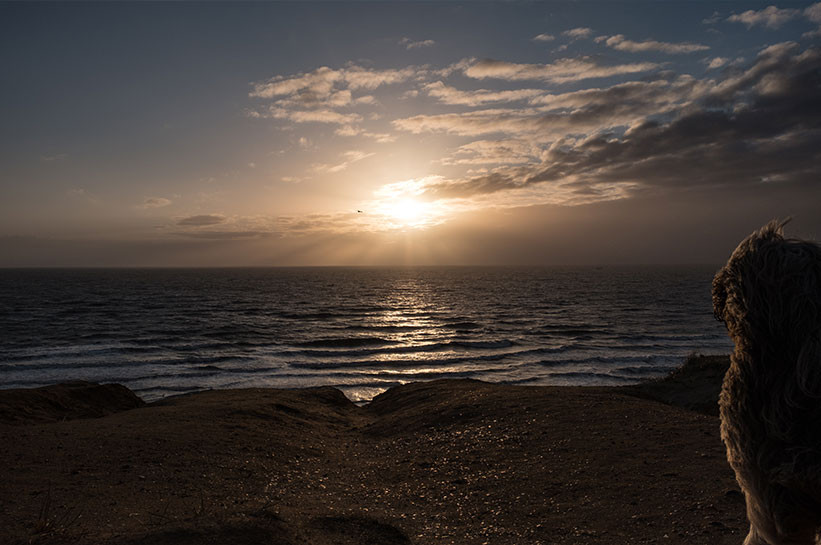 Không lâu sau khi vị linh mục trên rời đi, thành phố Rungholt bị đại dương "nuốt chửng" và biến mất khỏi Trái đất vào năm 1362.