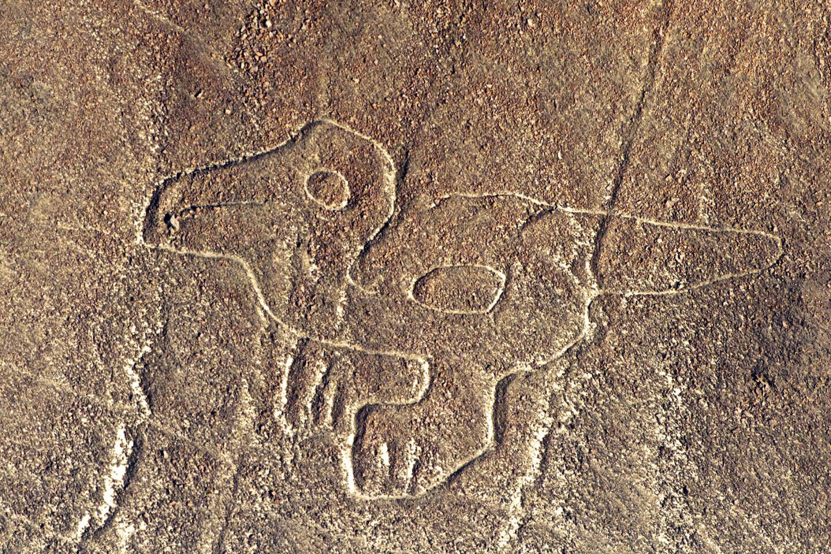 Ly kỳ hơn, những người theo thuyết âm mưu cho rằng, những đường kẻ Nazca được người ngoài hành tinh tạo ra để để định hướng cho tàu vũ trụ khi cất cánh và hạ cánh.