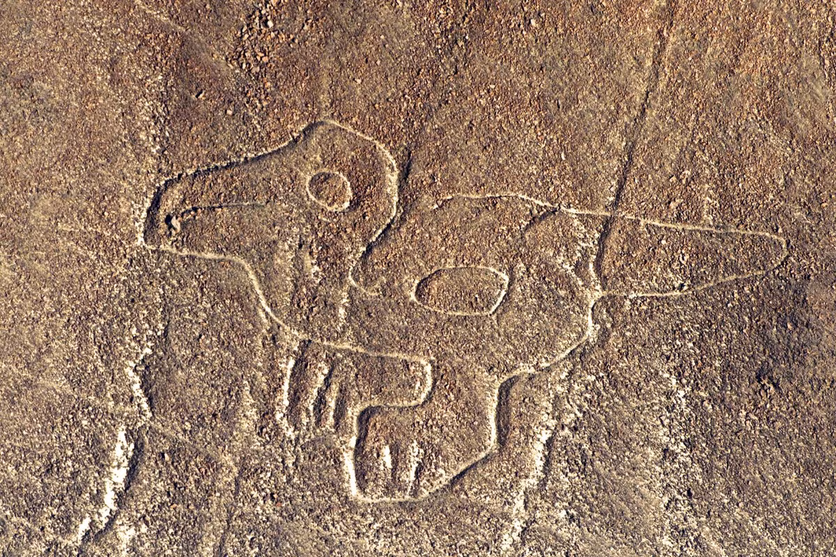 Ly kỳ hơn, những người theo thuyết âm mưu cho rằng, những đường kẻ Nazca được người ngoài hành tinh tạo ra để để định hướng cho tàu vũ trụ khi cất cánh và hạ cánh.