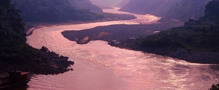 Do đó, chúng mới tràn ra ngoài, di chuyển tới khu vực cao hơn để làm nơi trú ẩn mới.