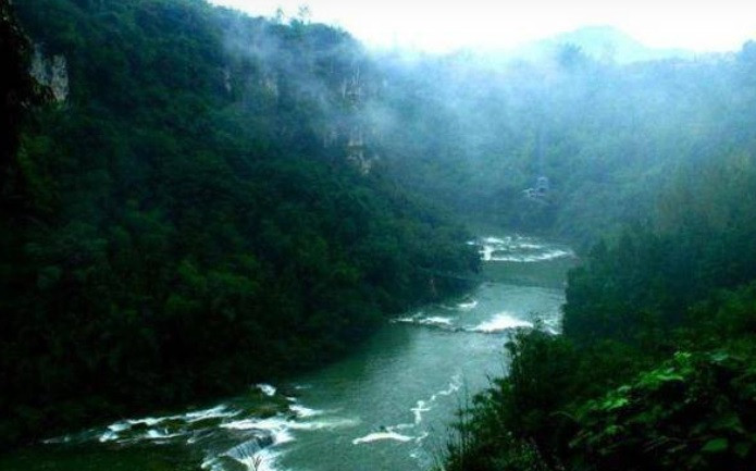 Trước hiện tượng này, các nhà khoa học lý giải mưa lớn làm mực nước sông dâng cao khiến tổ của các loài rắn, rết và côn trùng bị phá hủy.