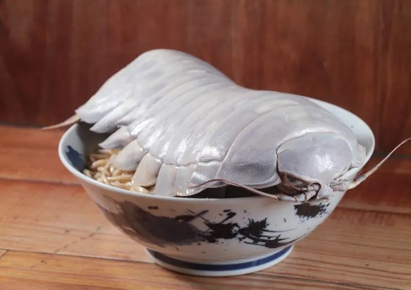Tiệm mì "Công tử Ramen" ở Đài Bắc, Đài Loan (Trung Quốc) hiện "gây sốt" với mòn mì bọ biển khổng lồ. Theo giới thiệu của tiệm mì, nguyên liệu đặc biệt mà họ sử dụng là một loại “hải sản” quý, mùi vị tương tự như tôm hùm, chắc thịt và ngọt.