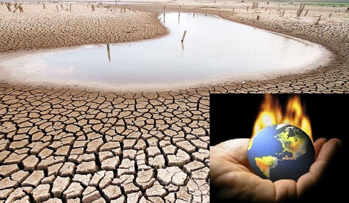 Nguyên nhân dẫn đến sự tuyệt chủng hàng loạt năm 2100 được 2 chuyên gia cho hay xuất phát từ việc con người khai thác quá mức tài nguyên, sử dụng tài nguyên đất không hợp lý, ô nhiễm môi trường, đặc biệt là biến đổi khí hậu toàn cầu.