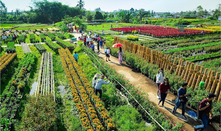 Tiếp đến, du khách có thể ghé thăm làng hoa Sa Đéc tuyệt đẹp. Vào mỗi mùa, hàng trăm loại hoa khoe sắc. Nhiều người tới đây để mua hoa, ngắm cảnh, chụp ảnh... Ảnh: Dulich.dongthap.gov.vn.