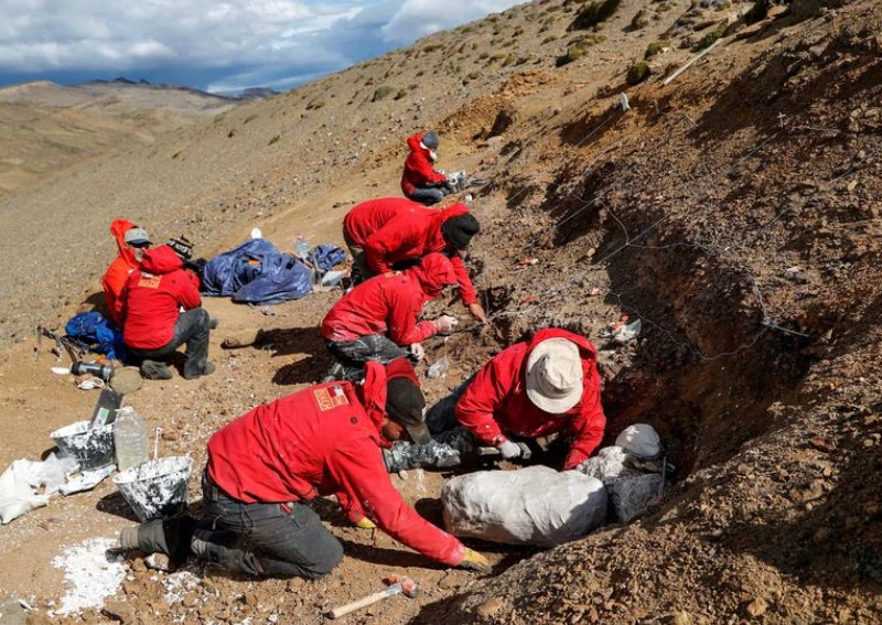 Theo các chuyên gia, khủng long Gonkoken nanoi sống cách đây 72 triệu năm ở cực Nam của khu vực ngày nay là Chilean Patagonia.
