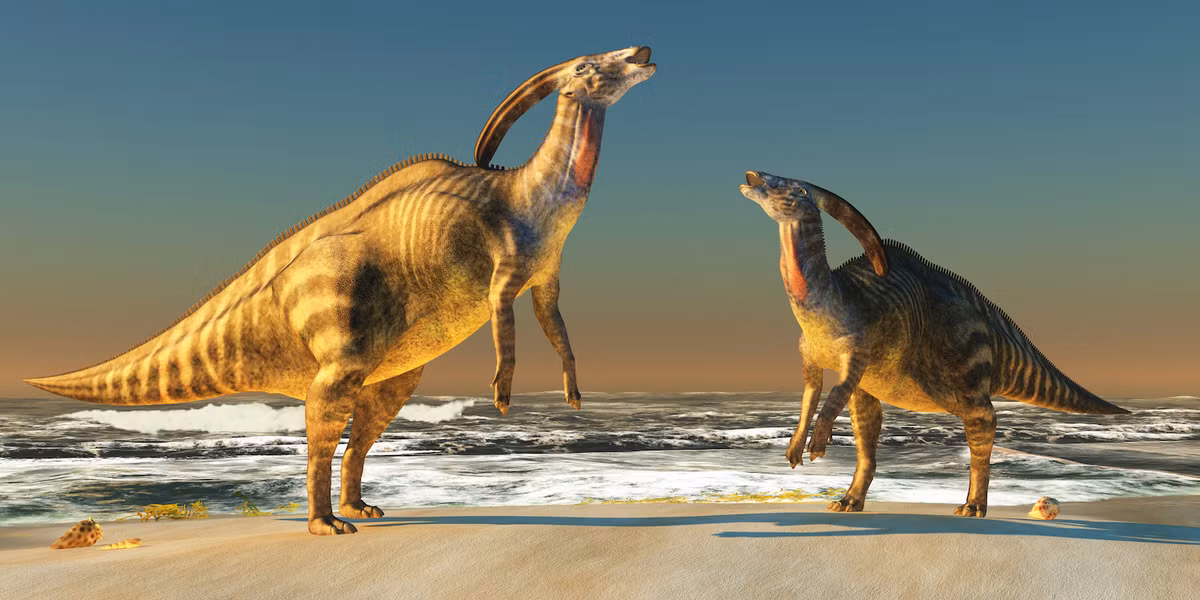 Phát hiện trên đã góp phần chứng minh Patagonia (vùng đất tận cùng của châu Mỹ, thuộc lãnh thổ hai nước Chile và Argentina) từng là nơi sinh sống của loài khủng long mỏ vịt thời cổ đại từ 145 đến 66 triệu năm trước.