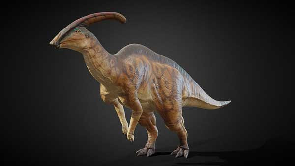 Giáo sư Alexander Vargas cho biết: “Đây là những loài khủng long trông mảnh khảnh, có thể dễ dàng sử dụng tư thế 2 chân và 4 chân để tiếp cận thảm thực vật ở trên cao và mặt đất”.