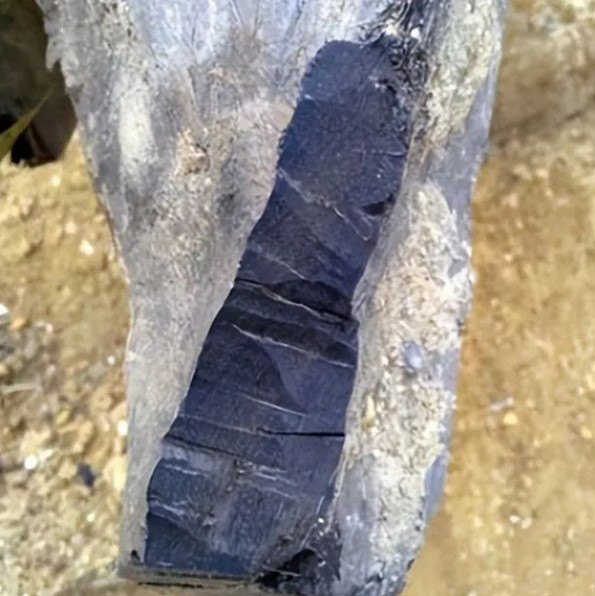 Sau khi quan sát tỉ mỉ và sử dụng các nghiệp vụ, giới chuyên gia xác nhận đó là loại gỗ âm trầm quý giá, còn được gọi là “Đông Phương Thần Mộc”. Đây là loại gỗ quý hiếm ở Trung Quốc.