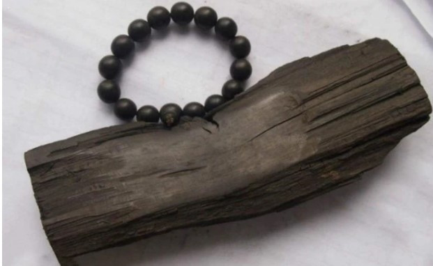 Dưới thời nhà Minh và nhà Thanh, gỗ âm trầm được các thành viên hoàng tộc sử dụng để làm đồ nội thất, tượng hay làm quan tài.