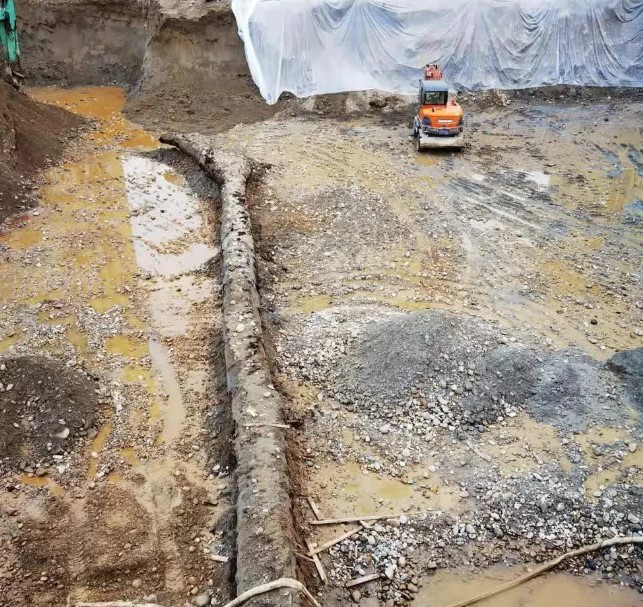 Vào tháng 8/2021, các công nhân tại công trường dự án Kim Hà Thiên Phủ thuộc Khu phát triển kinh tế Miên Dương, tỉnh Tứ Xuyên, Trung Quốc, đã sử dụng máy xúc để đào móng tòa nhà thì bất ngờ phát hiện một cây gỗ dài 40m, đường kính khoảng 1,5m nằm cách mặt đất khoảng 10m.