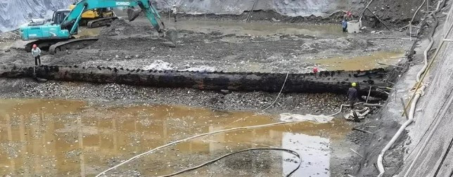 Để đưa cây gỗ "khủng" trên lên mặt đất mà không làm hư hại, các công nhân mất khoảng 3 ngày. Sau đó, công ty phụ trách dự án xây dựng phong tỏa khu vực và báo cáo với Ủy ban quản lý Khu phát triển kinh tế Miên Dương và các cơ quan liên quan.