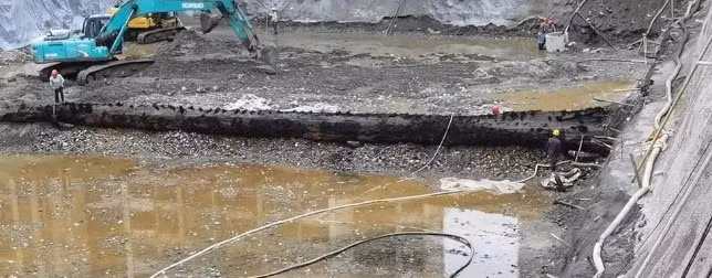 Để đưa cây gỗ "khủng" trên lên mặt đất mà không làm hư hại, các công nhân mất khoảng 3 ngày. Sau đó, công ty phụ trách dự án xây dựng phong tỏa khu vực và báo cáo với Ủy ban quản lý Khu phát triển kinh tế Miên Dương và các cơ quan liên quan.