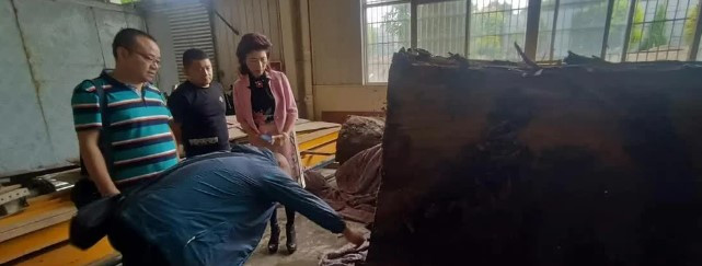 Tiếp đến, công ty trên nhận được sự đồng ý của Ban Quản lý Khu phát triển kinh tế Miên Dương nên đã sử dụng một số lượng máy móc lớn để vận chuyển cây gỗ vào kho chứa tạm thời nhằm không ảnh hưởng đến tiến độ thi công dự án.