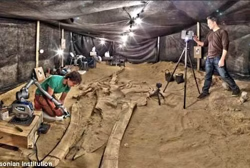 Một giả thuyết khác suy đoán những con cá voi khổng lồ có thể bị mắc kẹt sau một trận lở đất hay một cơn bão. Chúng có thể chết ở đó trong thời gian vài thiên niên kỷ.