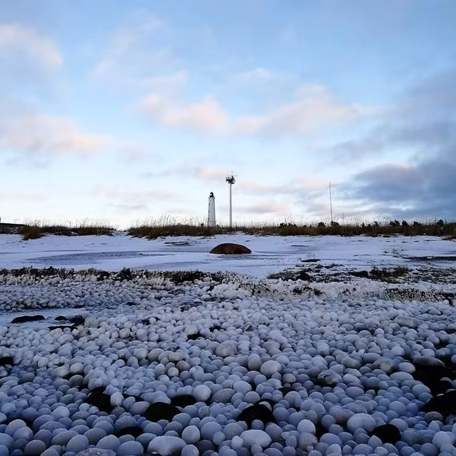 Tiến sĩ James Carter, giáo sư danh dự về địa lý - địa chất tại Đại học bang Illinois (Mỹ) cho hay mùa Thu là thời điểm lý tưởng để chiêm ngưỡng hiện tượng trứng băng đặc biệt. Nguyên do là vì đây là thời điểm băng bắt đầu hình thành trên mặt nước, tạo ra các mảng mềm dịch chuyển trong sóng biển.