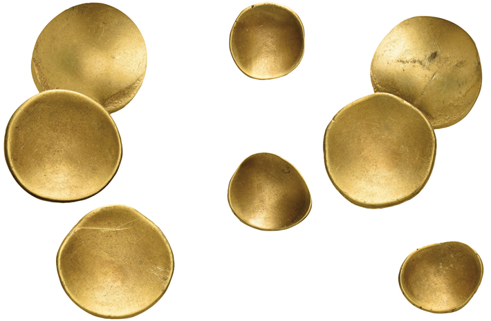 Sau khi phát hiện, Herkt đã thông báo cho Bảo tàng Khảo cổ và Quản lý Di sản Bang Brandenburg (BLDAM).