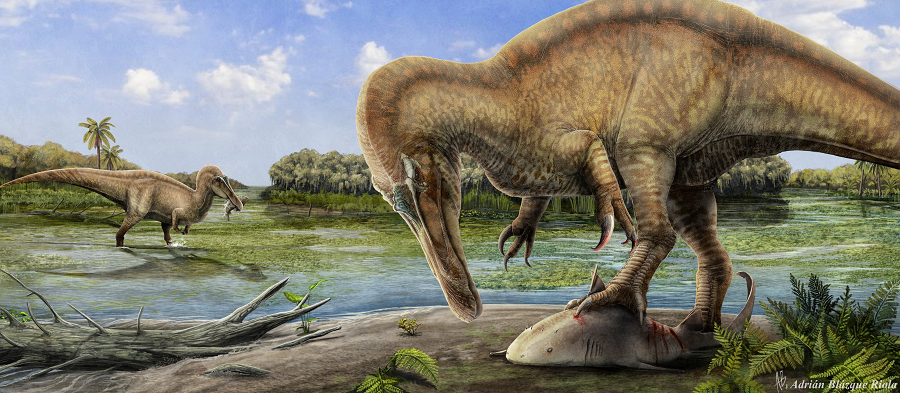 Nó thuộc vào họ Spinosauridae, có đặc điểm là gai nhọn trên lưng, đầu dài giống cá sấu, và bộ hàm rất khủng khiếp.