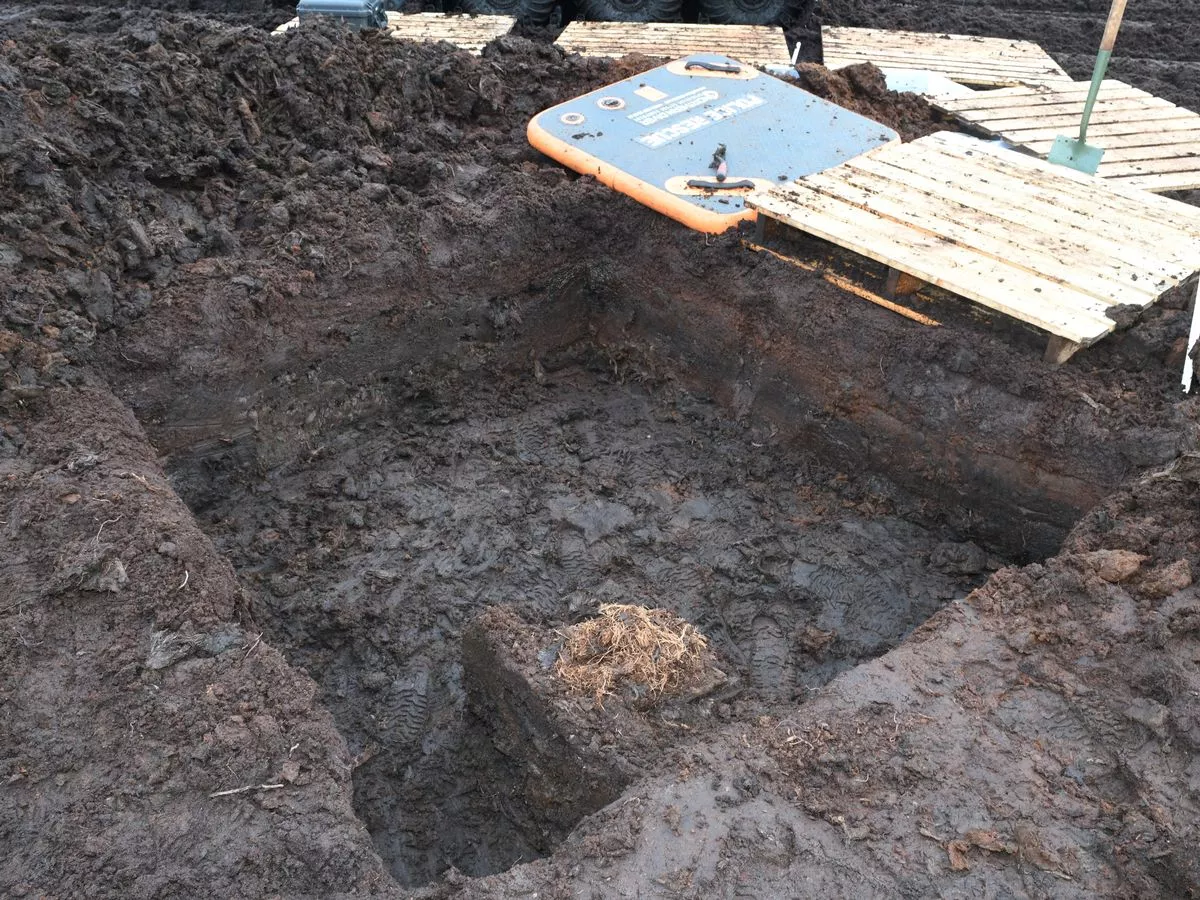 Xác định niên đại bằng carbon phóng xạ chỉ ra thời điểm cái chết là từ 2.000 đến 2.500 năm trước Công nguyên.