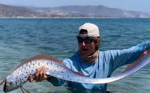 Dù không có nhiều thông tin về loại cá này do hiếm khi được quan sát, nhưng người ta cho biết thịt của chúng có cảm giác nhão và dính.