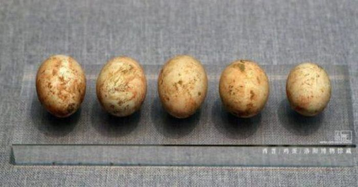 Đối với việc chụp ảnh trứng, nhà khảo cổ thường sử dụng tia X và xử lý cẩn thận để đảm bảo an toàn.