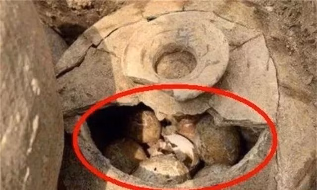 Mặc dù những quả trứng nguyên vẹn trong mộ cổ có vẻ vô hại nhưng có thể trở thành mối nguy hiểm đối với tính mạng con người.