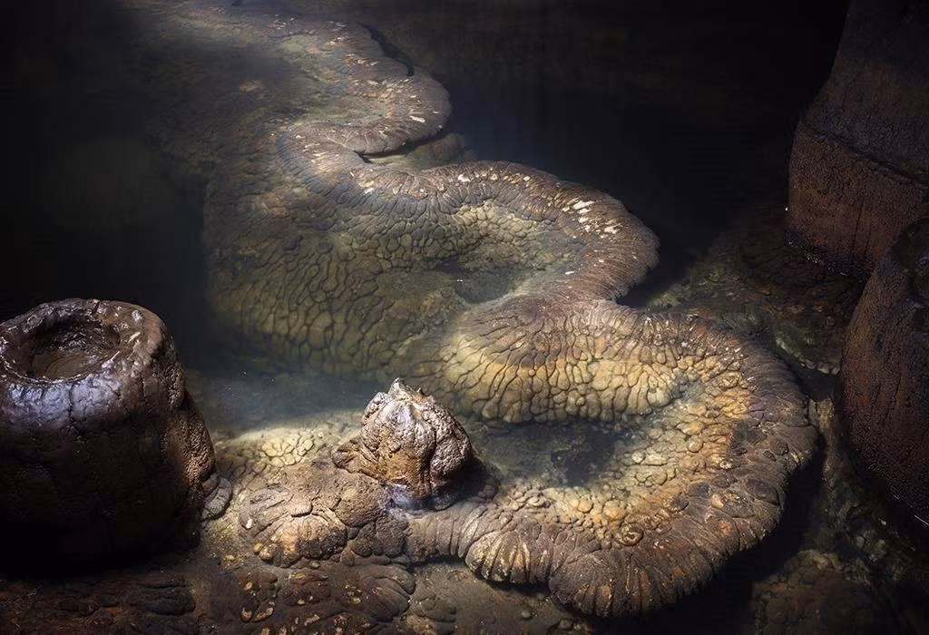 Trong hang động, họ nhìn thấy một ánh sáng lấp lánh phát ra từ dưới nước, và khi tiến gần hơn, họ phát hiện ra một con rồng nằm im dưới dòng nước.