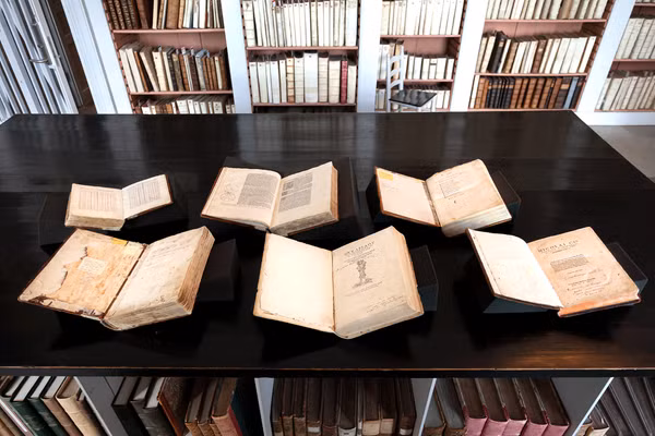 Kết quả DNA từ ngôi mộ và tóc trên sách trùng khớp, nhưng vẫn còn một số nghi vấn về tính chính xác của phương pháp này.