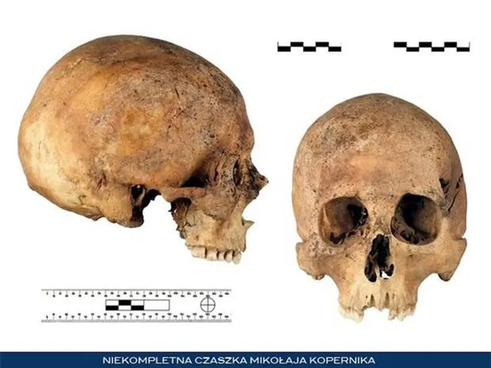 Năm 2005, một nhóm khoa học gia Ba Lan đã tiến hành một cuộc nghiên cứu mới và phát hiện ra một bộ hài cốt nam giới khoảng 60-70 tuổi, khớp với mô tả về Copernicus.