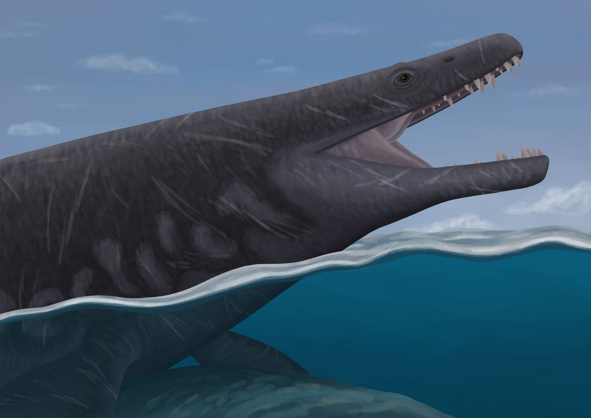 Các nhà nghiên cứu từ Đại học Bath (Anh) và Bảo tàng Lịch sử tự nhiên quốc gia Paris (Pháp) đã phân tích loài bò sát biển này.