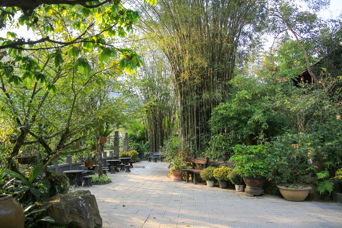 Theo tìm hiểu, nhà chùa tự ươm trồng 20ha keo lá tràm, keo tai tượng, keo lai và khoảng 5 – 7ha là giữ lại cây rừng tự nhiên rất phong phú chủng loại. Nhiều dáng cây và nhiều sắc lá đan xen khá ngoạn mục.