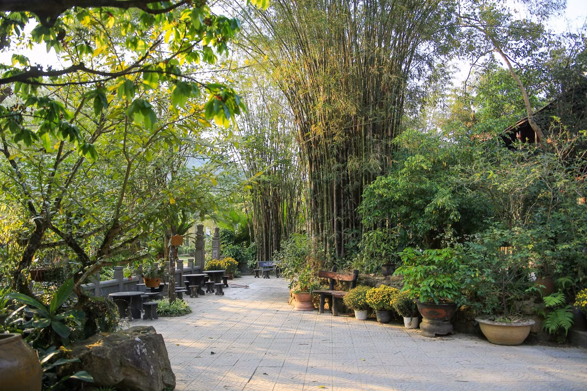 Theo tìm hiểu, nhà chùa tự ươm trồng 20ha keo lá tràm, keo tai tượng, keo lai và khoảng 5 – 7ha là giữ lại cây rừng tự nhiên rất phong phú chủng loại. Nhiều dáng cây và nhiều sắc lá đan xen khá ngoạn mục.