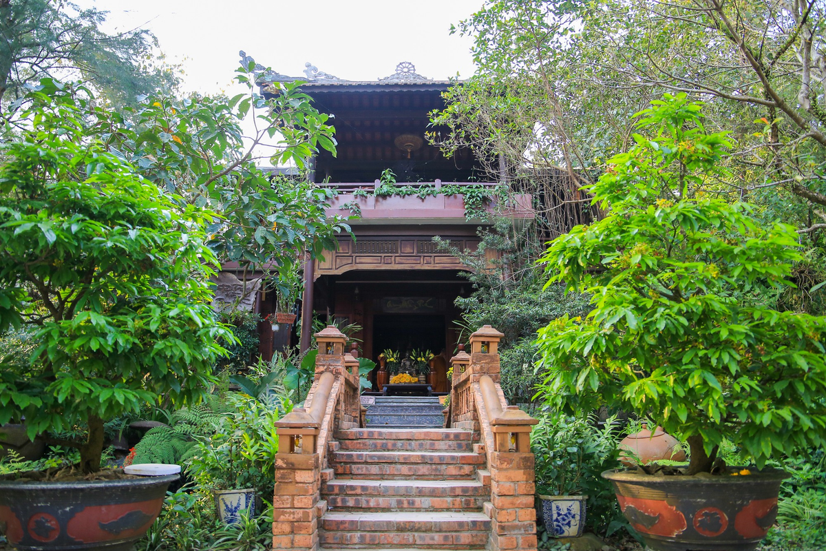 Cây cối bao quanh chùa tạo nên không gian thoáng mát và không khí trong lành.