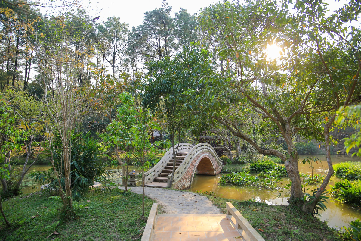 Khu vườn xanh mát và tràn ngập màu sắc với những cây xanh và các loài hoa như: hoa sứ, phong lan, vạn tuế, trúc, mai,... và đan xen vào đó là nhiều bức tượng Phật.