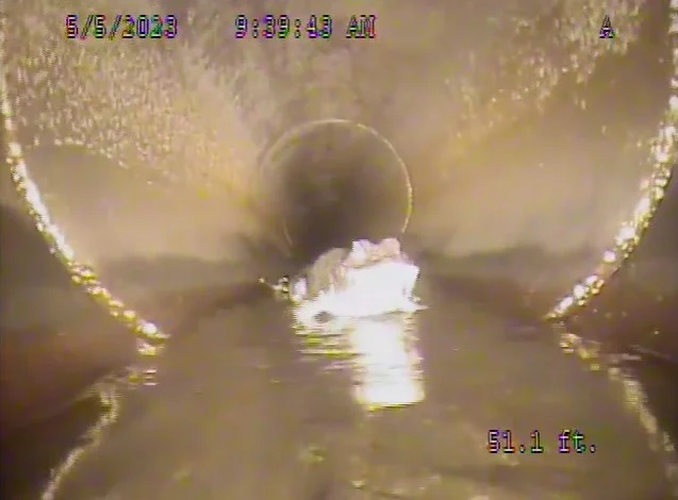 Ban đầu, nhóm công nhân nghĩ rằng họ đã phát hiện ra một con cóc, nhưng sau đó họ nhìn thấy hai đôi mắt lóe sáng và nhận ra đó là một con cá sấu "quái vật" to lớn.