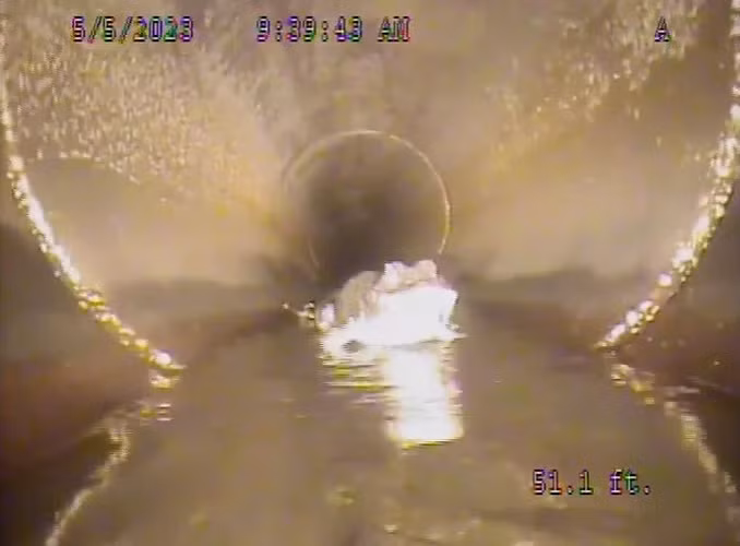 Ban đầu, nhóm công nhân nghĩ rằng họ đã phát hiện ra một con cóc, nhưng sau đó họ nhìn thấy hai đôi mắt lóe sáng và nhận ra đó là một con cá sấu "quái vật" to lớn.