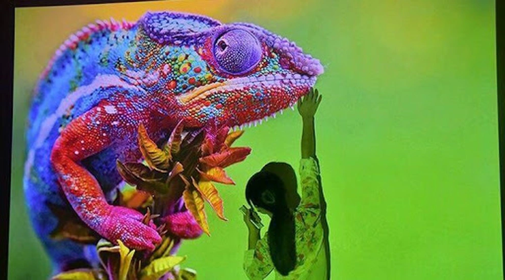 7. Tắc kè hoa: Ngoài khả năng đổi màu, nhiều loài tắc kè hoa cũng có khả năng phát sáng huỳnh quang dưới ánh sáng tia cực tím.