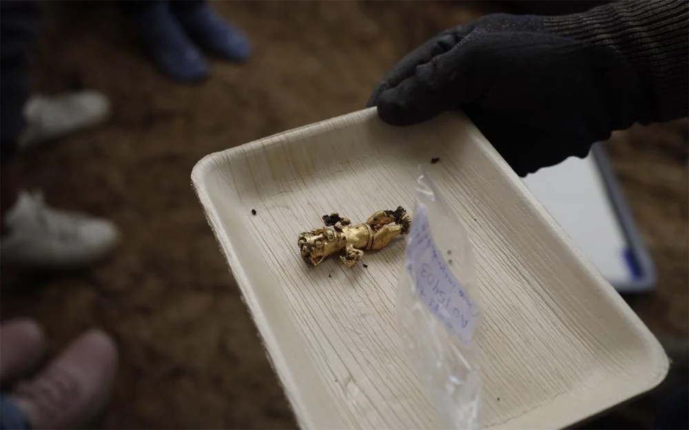 Các hiện vật trong ngôi mộ bao gồm thắt lưng, vòng tay, khuyên tai, chuông và đĩa vàng, cùng với một số hiện vật khác như một món đồ từ răng chó và một bộ sáo từ xương.